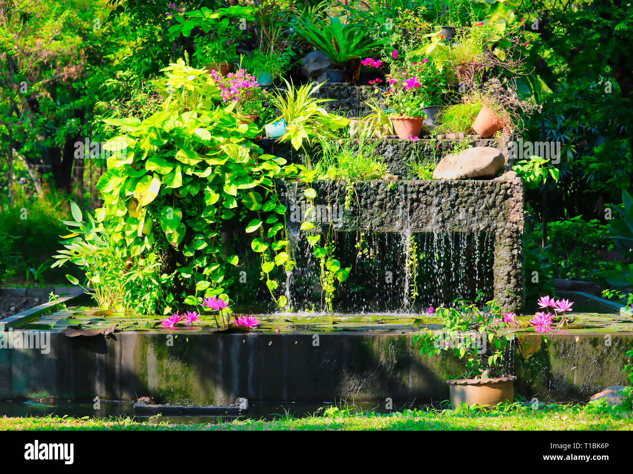 Dieses Bild zeigt einen wunderschönen Wasserfall und Seerose in der weltberühmten Lumphini Park in Bangkok. Stockfoto