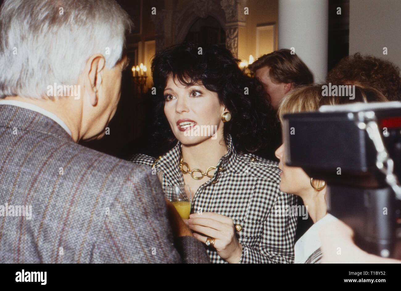 Das Erbe der Guldenburgs, Fernsehserie, Deutschland 1986 - 1988, Darsteller: Iris Berben Stockfoto