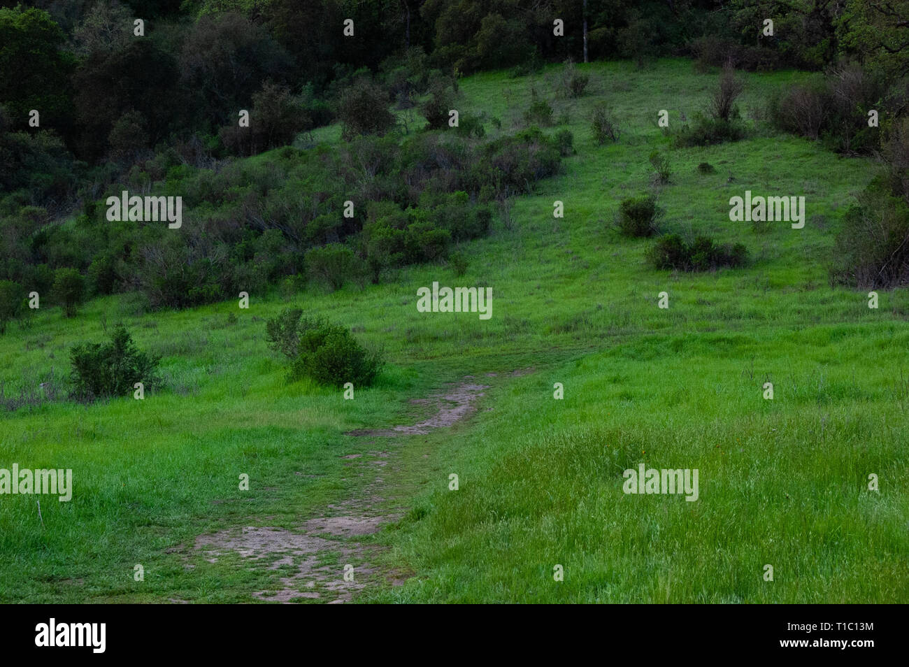 Sonnenaufgang in Quicksilver Park, mit Blick auf den San Jose, CA Stockfoto