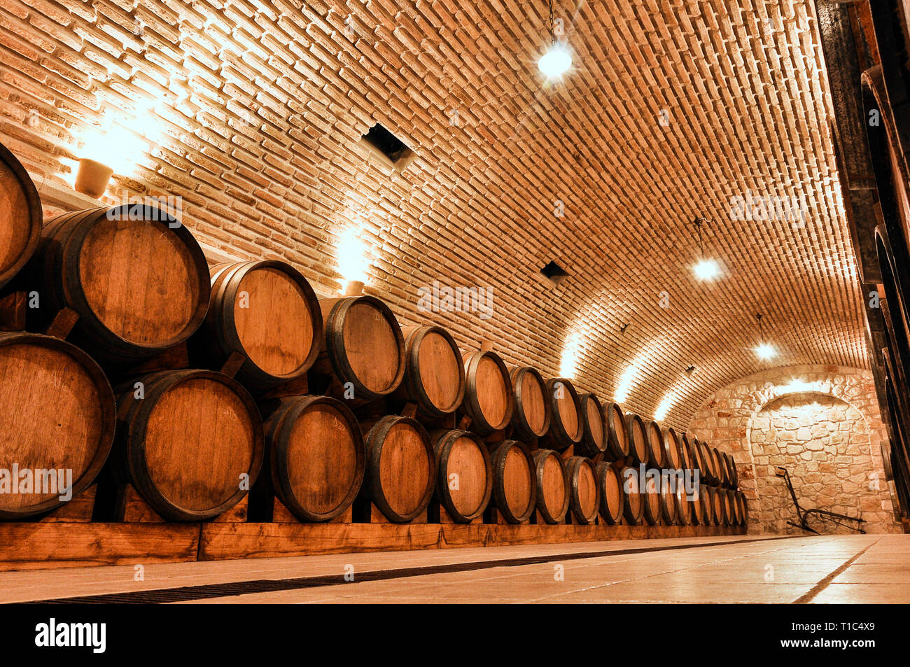 Weinfässer im alten Keller eines Weinguts. Weinkeller Der Weinkeller mit gemauerten Wänden. Stockfoto