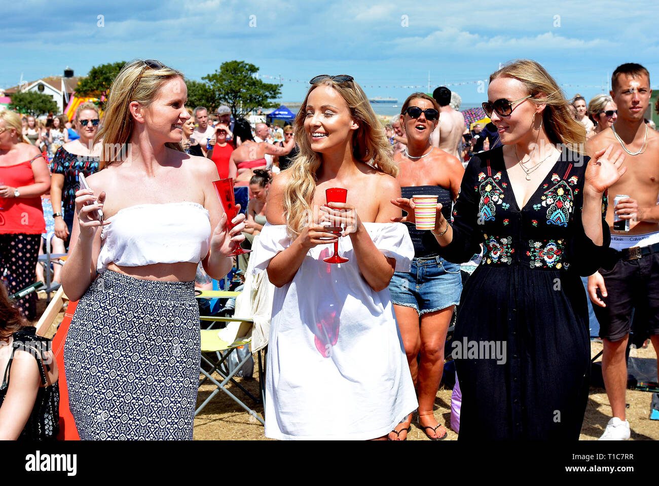 Musikfans, die bei Musikfestivals in England jubeln und mitsingen Stockfoto