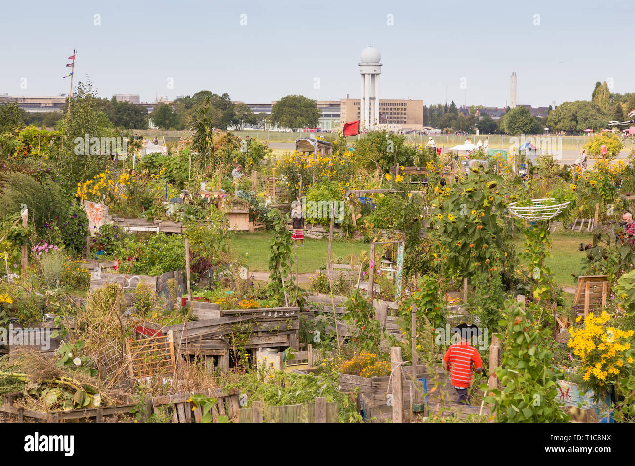 Urban Gardening auf dem Tempelhofer Feld, der ehemalige Flughafen in Berlin, Deutschland. Stockfoto