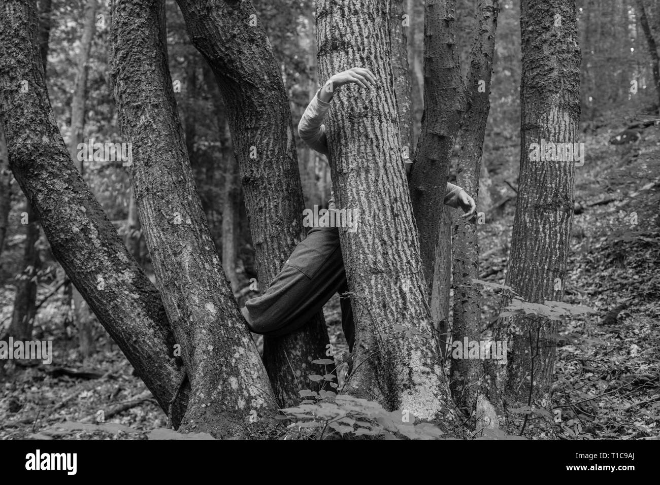 CI-Tanz mit Baum Stockfoto