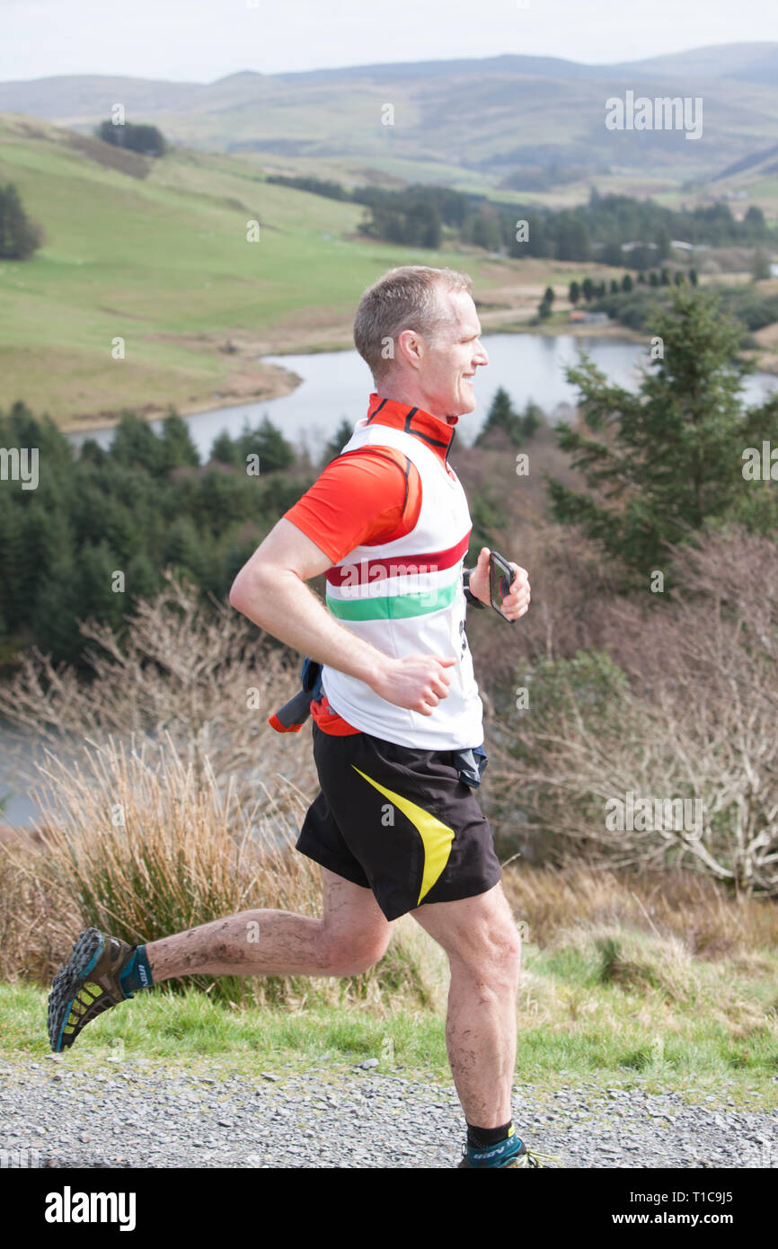 Trail, Lauf, laufen, Läufer, Läufer, Rennen, Nant Silver Trail Halbmarathon, Nant Yr Arian, in der Nähe von Aberystwyth, Ceredigion, West, Mitte von Wales, Walisisch UK, GB, Großbritannien, Stockfoto