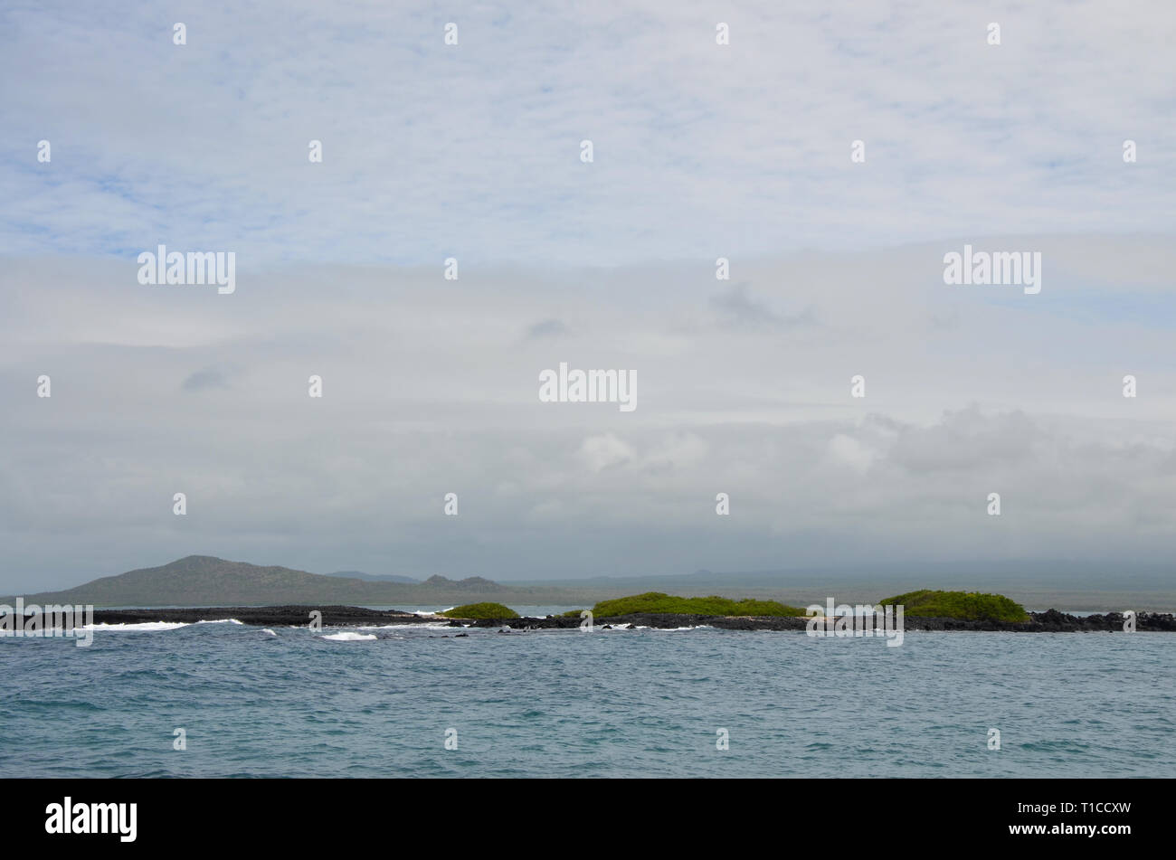 Galapagos Isla Isabella Stockfoto