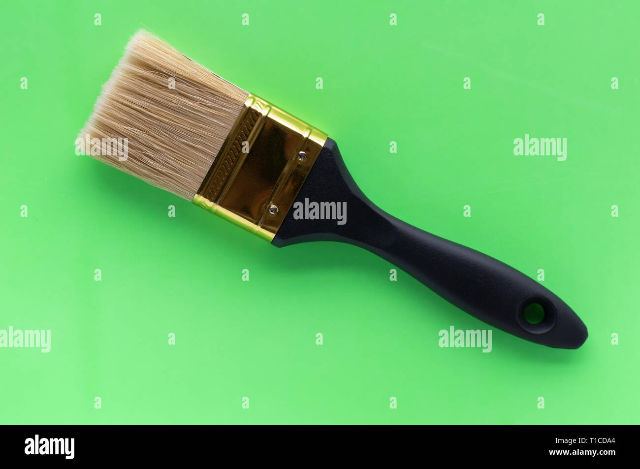 Pinsel mit schwarzem Griff auf grünem Hintergrund. Das Konzept des Minimalismus. Ansicht von oben Stockfoto