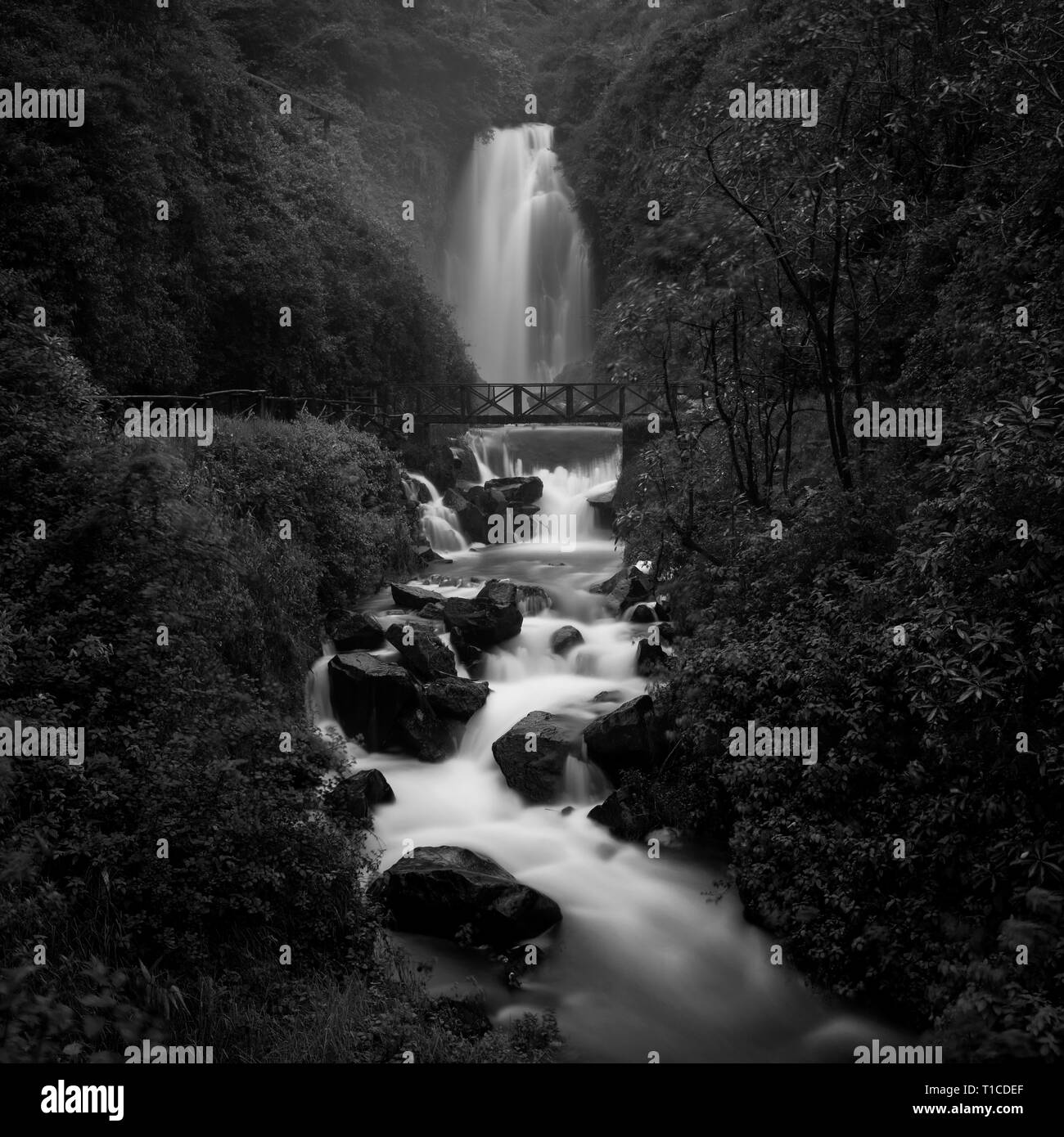 Lange Belichtung schwarz-weiß Foto von Peguche Wasserfall in der Nähe von Otavalo, nördlich von Quito, Ecuador. Stockfoto