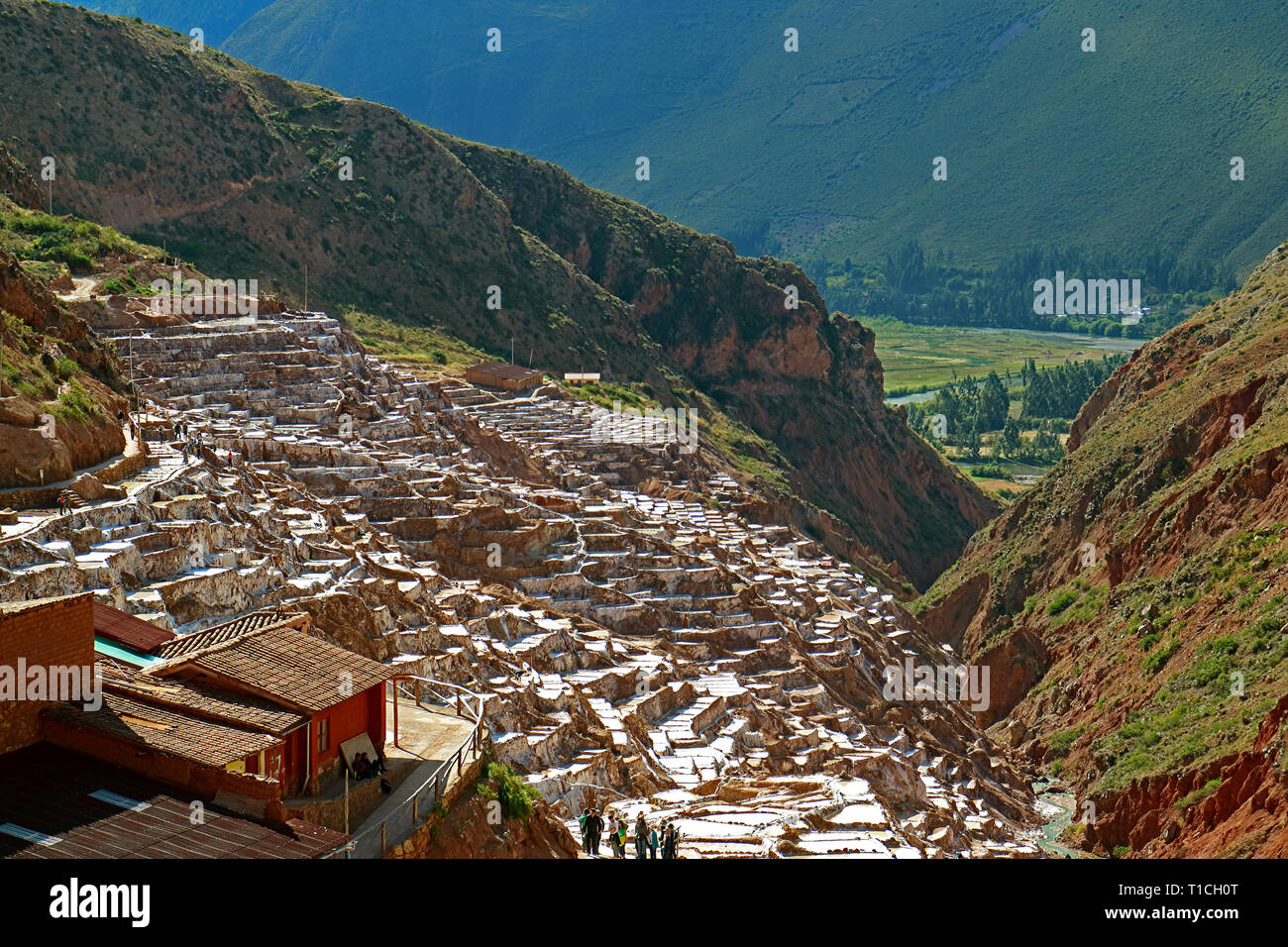 Die Salinen von Salineras de Maras, das Heilige Tal der Inkas, Cusco Region, Peru Stockfoto