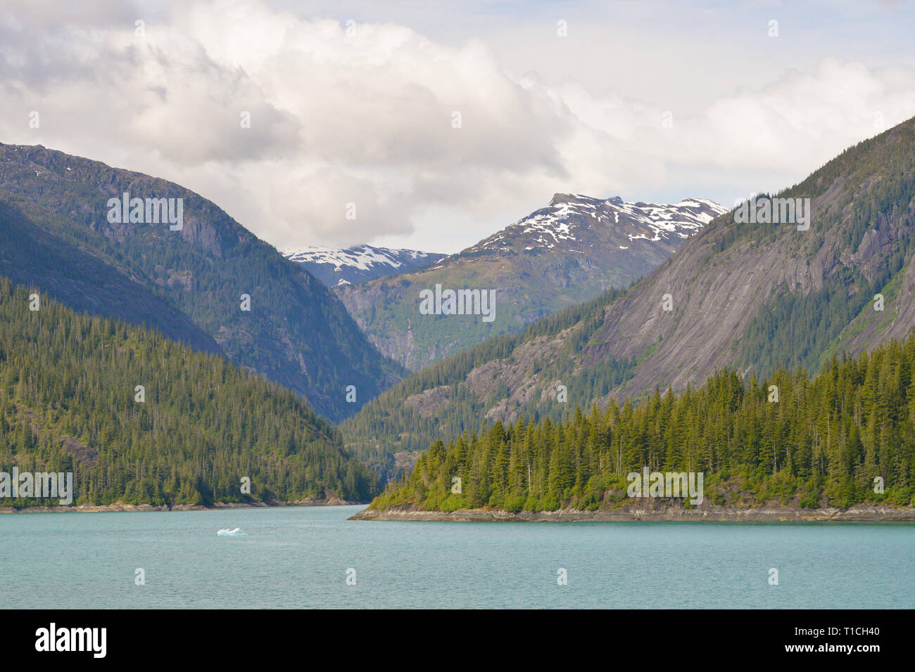 Schöne Aussicht auf den Fjord in Alaska. Stockfoto