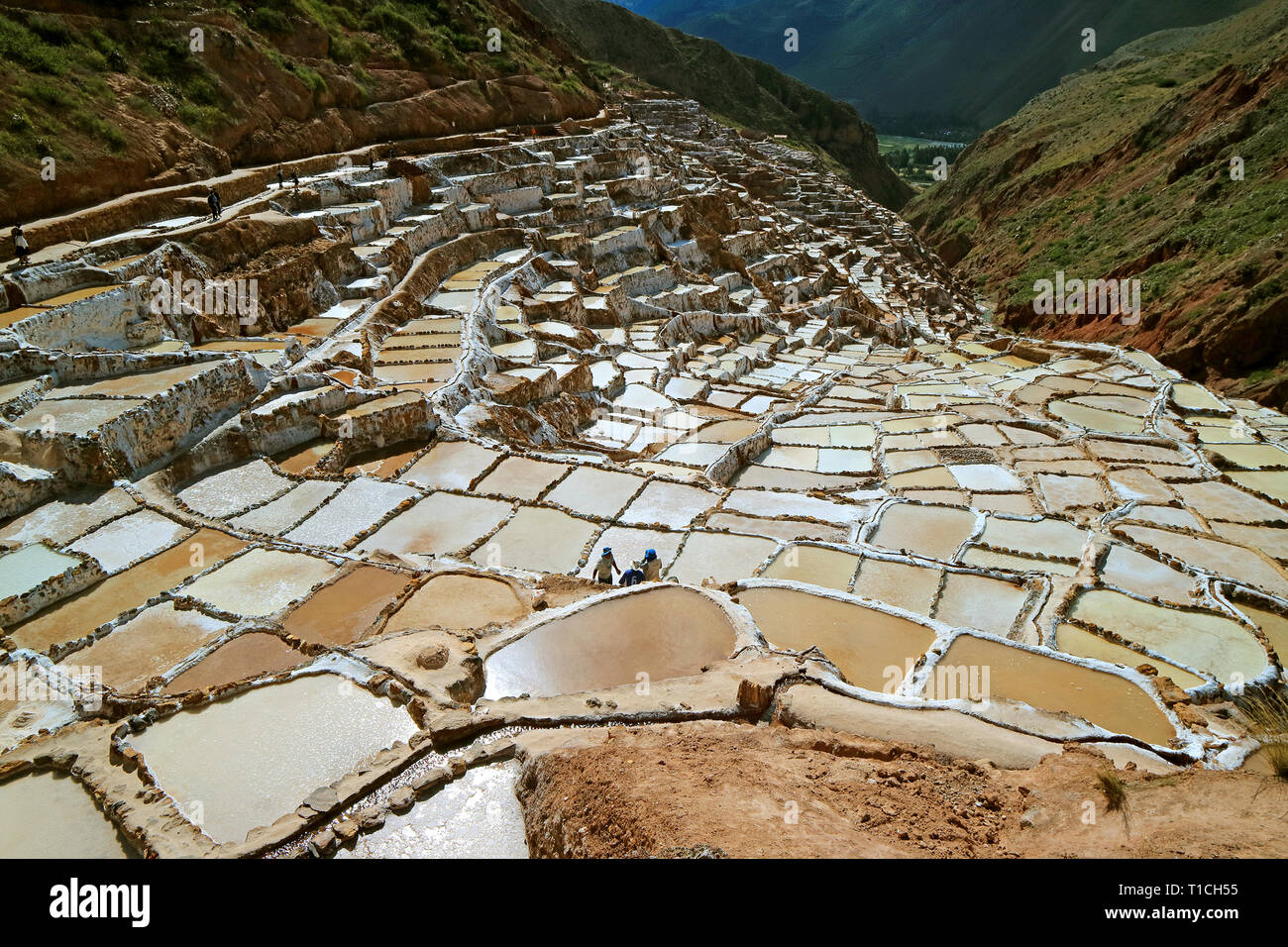 Salineras de Maras, erstaunliche Salzminen in der Schlucht des Heiligen Tal der Inkas, Cusco Region, Peru Stockfoto