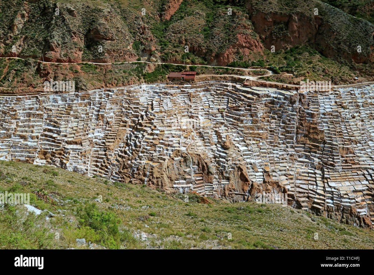 Tolle Aussicht auf Salineras de Maras, die Salinen in einem Canyon der Heilige Tal der Inkas, Cusco Region, Peru eingebettet Stockfoto