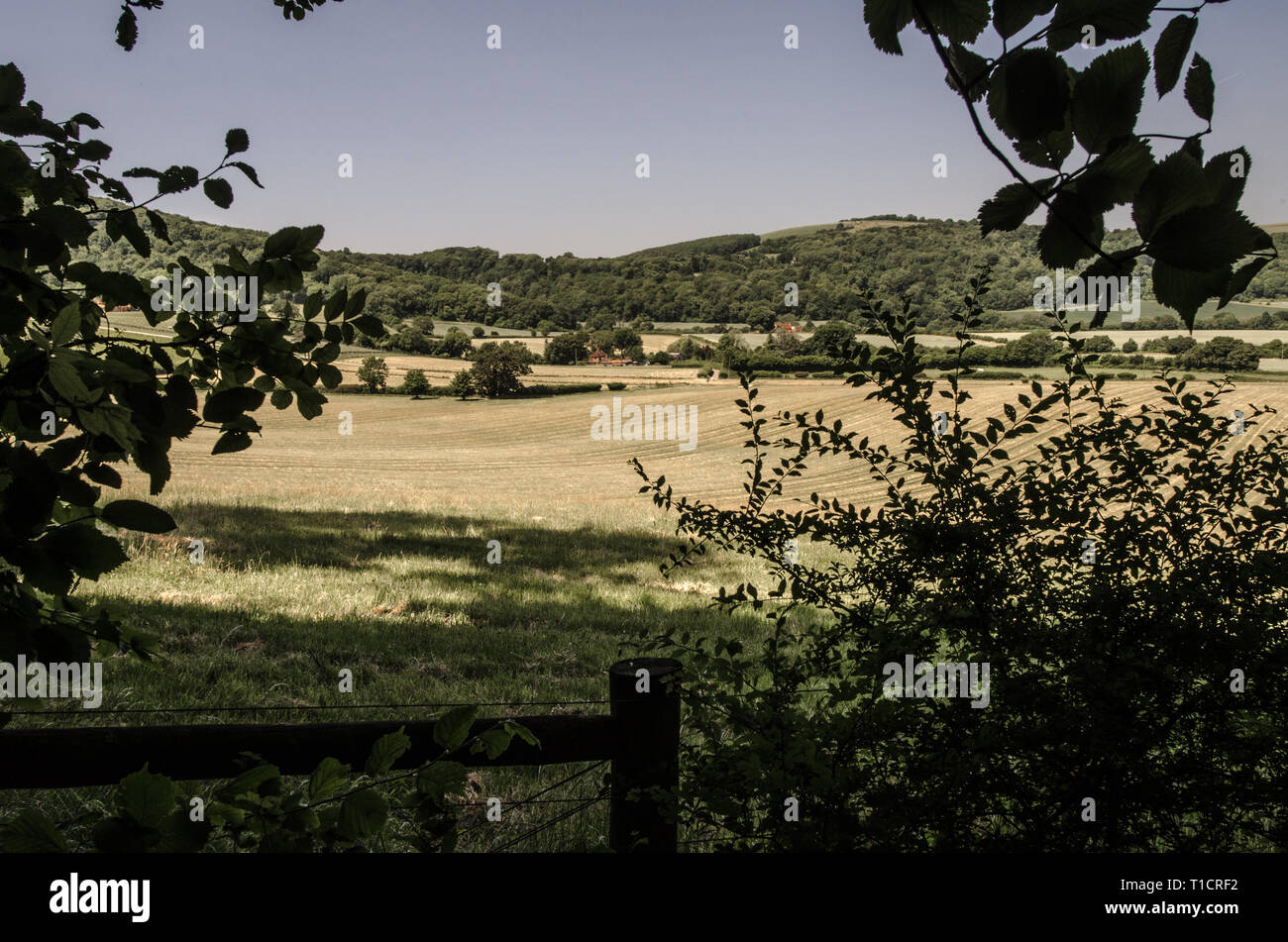 Blick nach Westen zu Beginn der Aufstieg nach Bignor Hügel im Norden Böschung des South Downs. Stockfoto