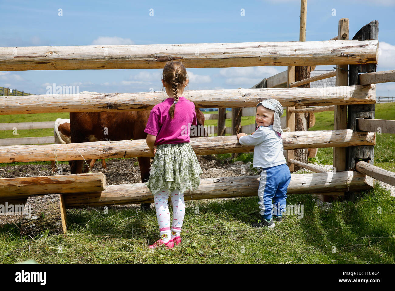 Junge und ein Mädchen im Freien genießen, Kühe beobachten auf einem Bauernhof. Aktive Kindheit und Lifestyle, Familie Zeit, Leben lernen. Stockfoto
