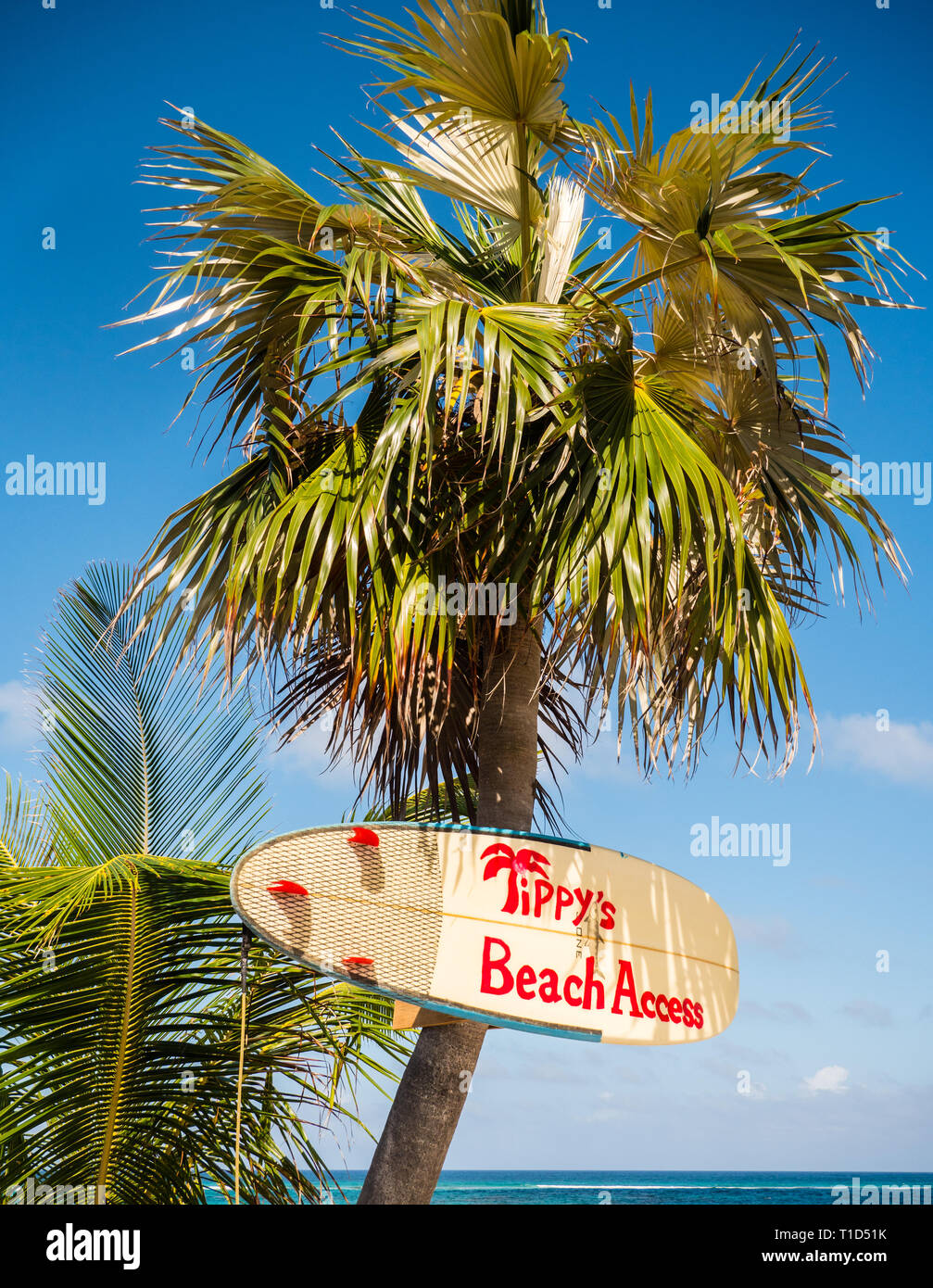 Atlantikküste, Tippy Restaurant und Strandbar, North Palmetto Point, Eleuthera, Bahamas. Stockfoto