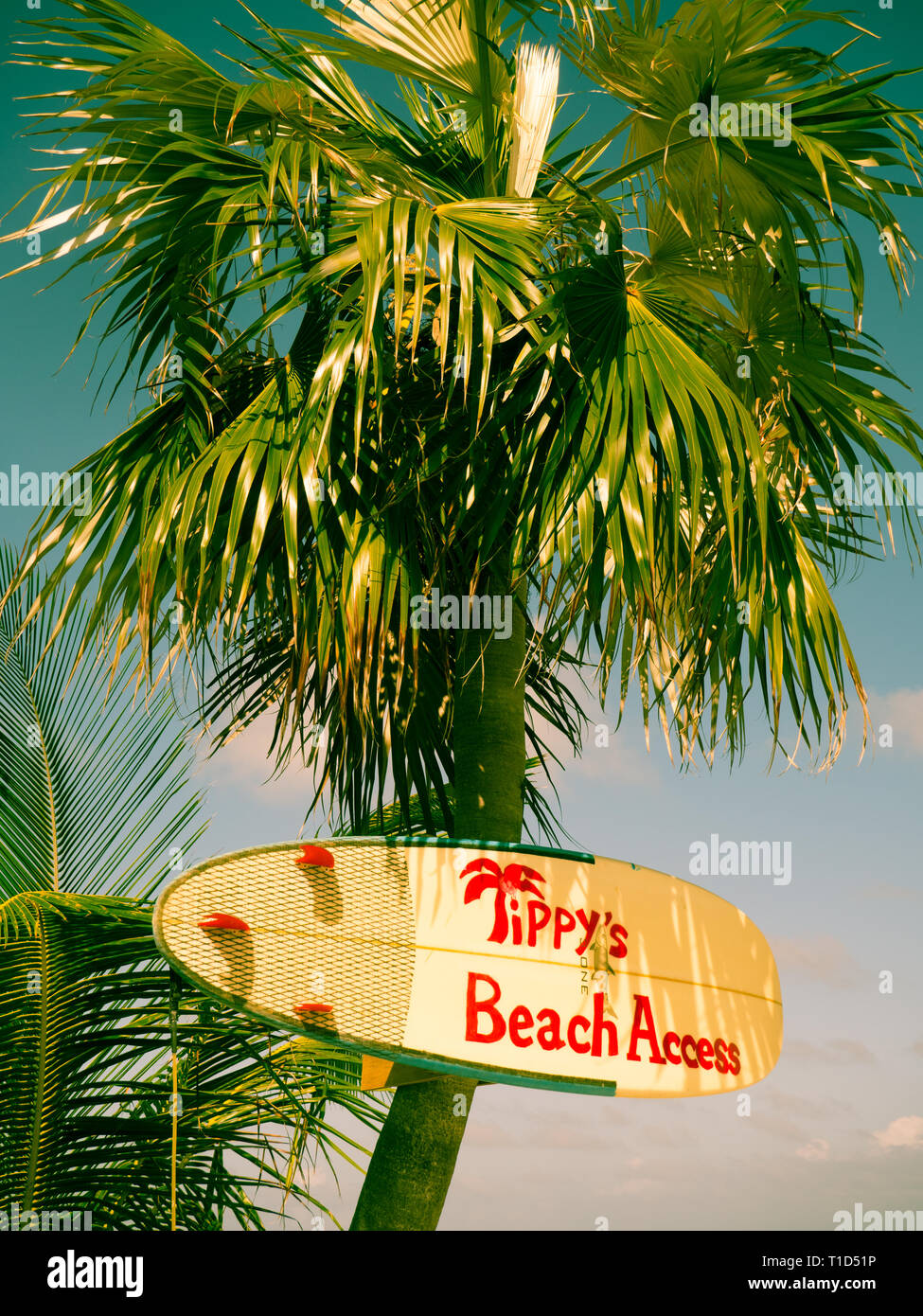 Atlantikküste, Tippy Restaurant und Strandbar, North Palmetto Point, Eleuthera, Bahamas. Stockfoto