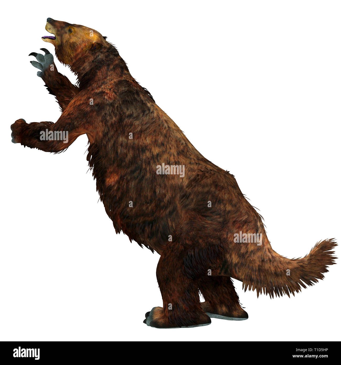 Megatherium Faultier war ein Pflanzenfresser Giant Ground Sloth, in Zentral- und Südamerika während Die pliozäne und pleistozäne Zeiten lebte. Stockfoto