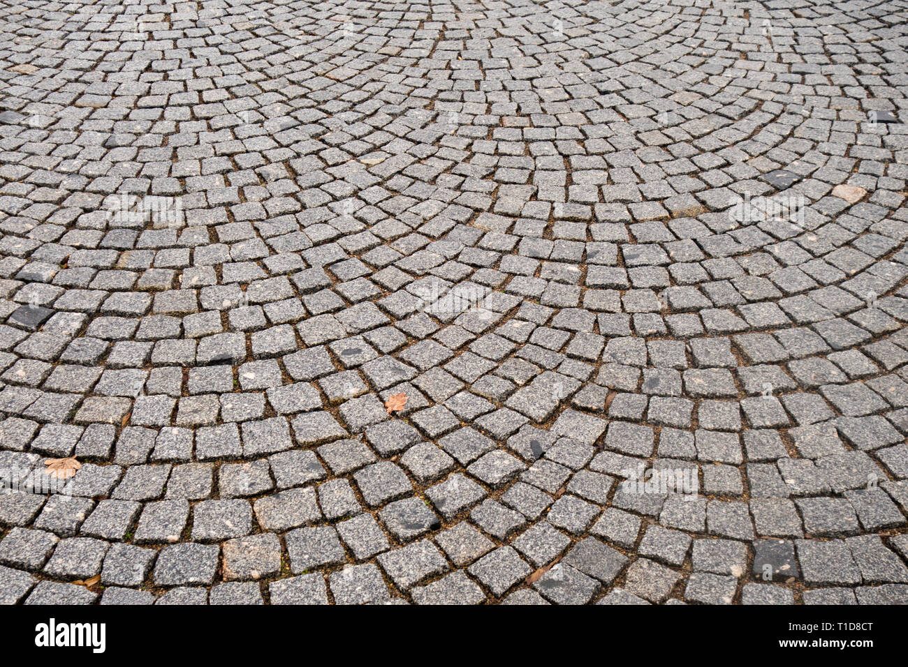 Straße gepflastert mit Pflastersteine Stockfoto