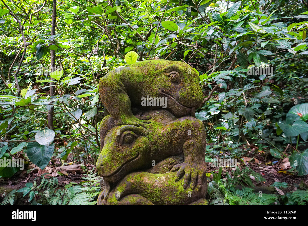 Eine steinerne Statue des Komodo monitor, mit Moos und Flechten in einer tropischen grünen Wald in der Nähe des Flusses bedeckt. Riesige Echse in der Heiligen Affenwald, Ub Stockfoto