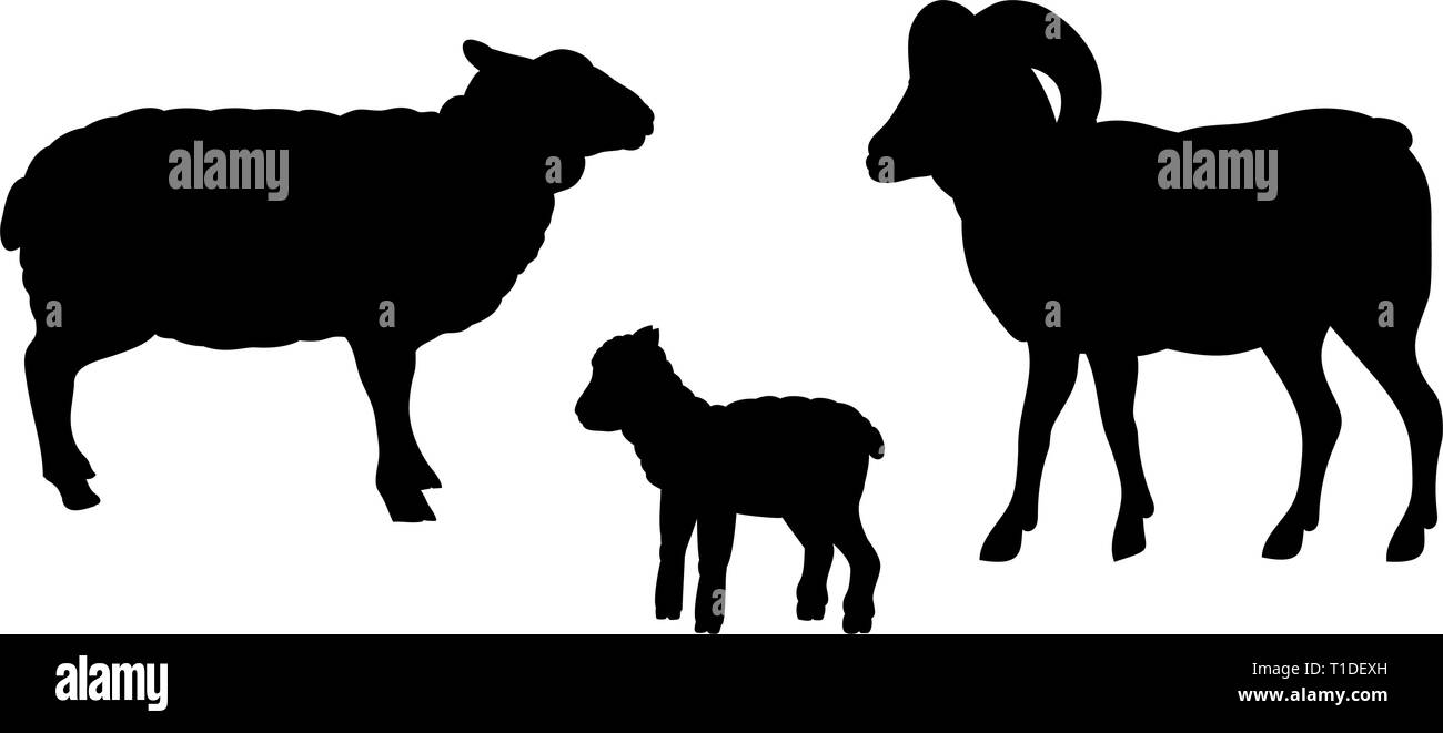 Ram Schafe Lamm farm Säugetier schwarze Silhouette Tier Stock Vektor