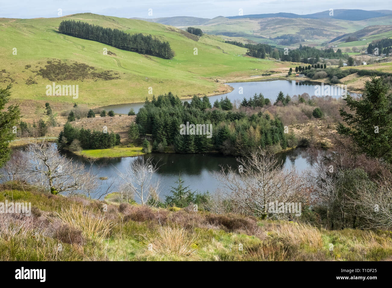 Trail, Lauf, laufen, Läufer, Läufer, Rennen, Nant Silver Trail Halbmarathon, Nant Yr Arian, in der Nähe von Aberystwyth, Ceredigion, West, Mitte von Wales, Walisisch UK, GB, Großbritannien, Stockfoto