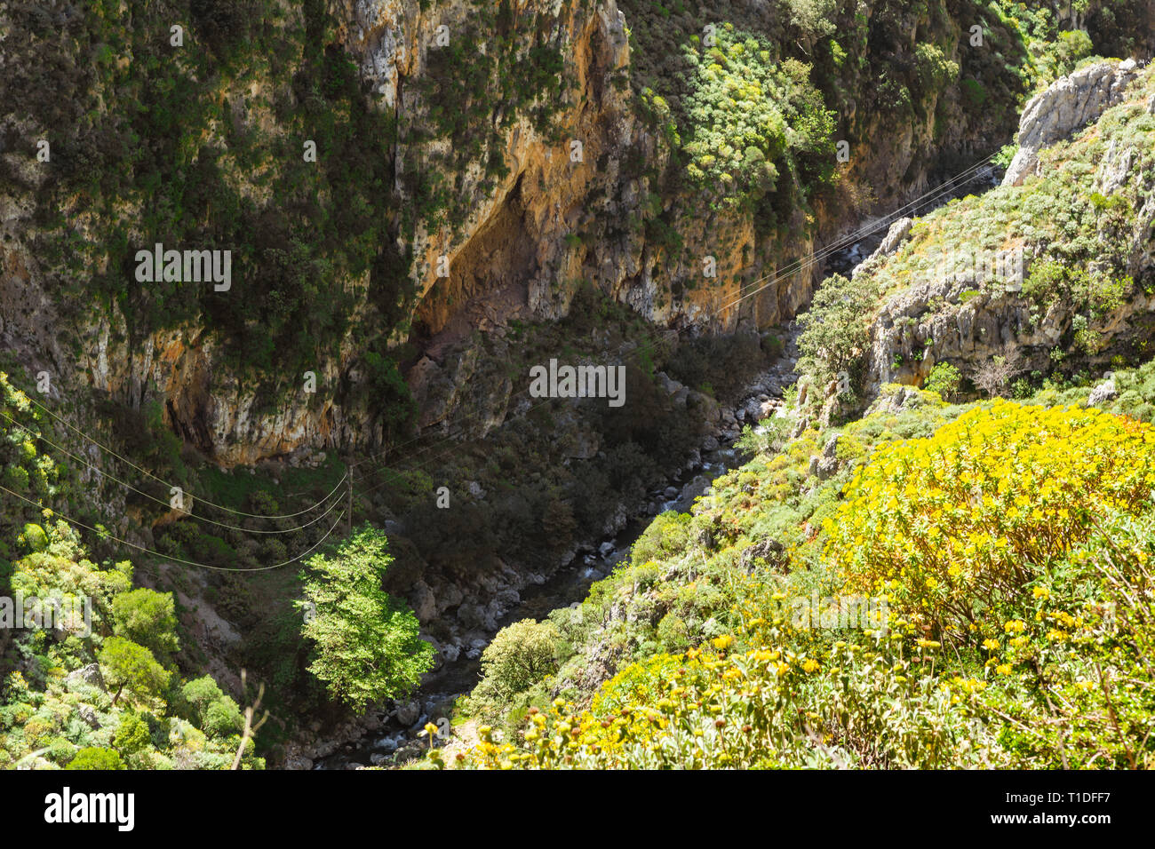 Kreta Canyon Stockfotos Und bilder Kaufen Alamy kreta-canyon-stockfotos-und-bilder-kaufen-alamy