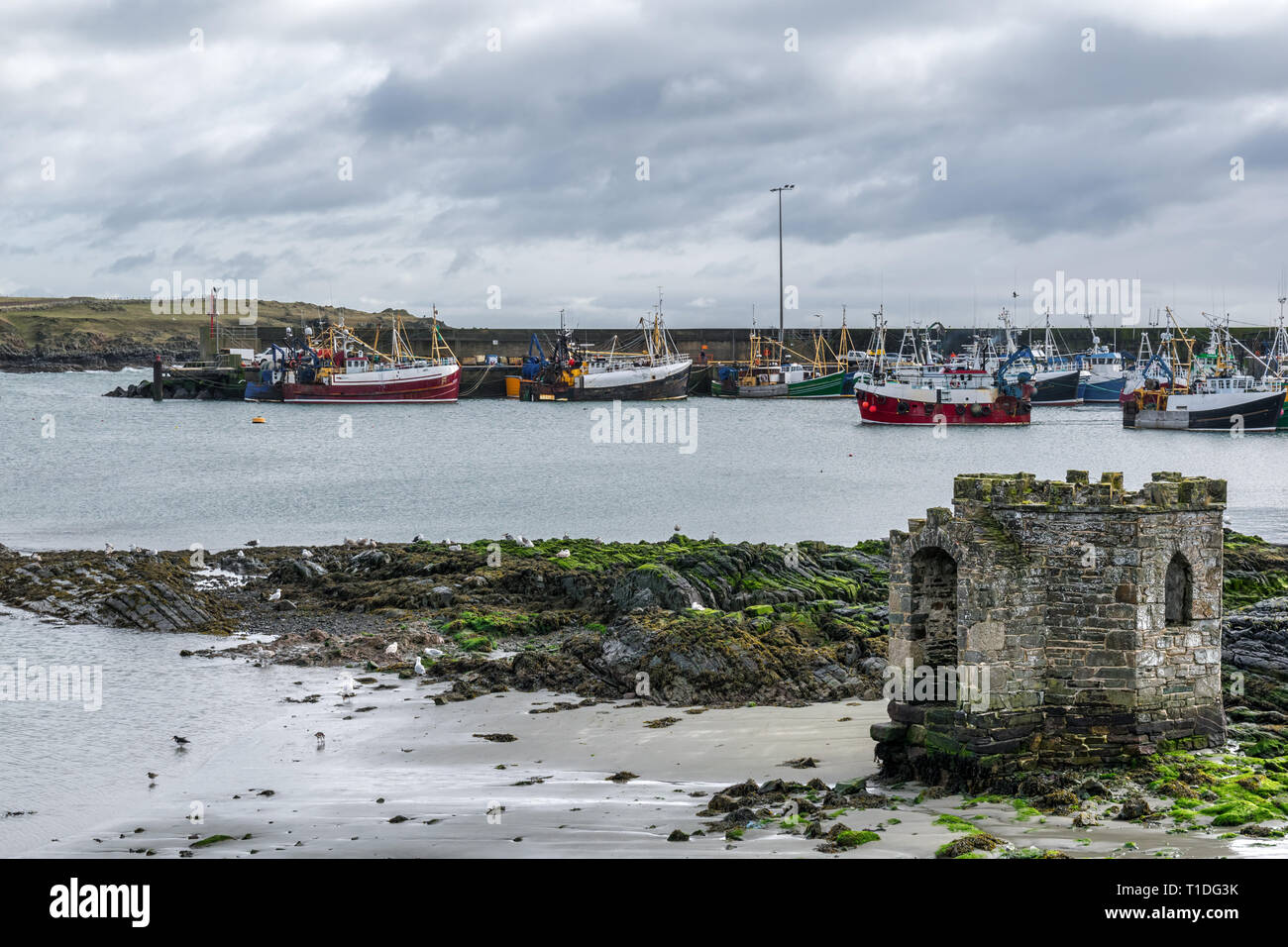 Das ist ein Bild von Ardglass Harbour, County Down, Nordirland. Die alten viktorianischen Badehaus im Vordergrund. Stockfoto