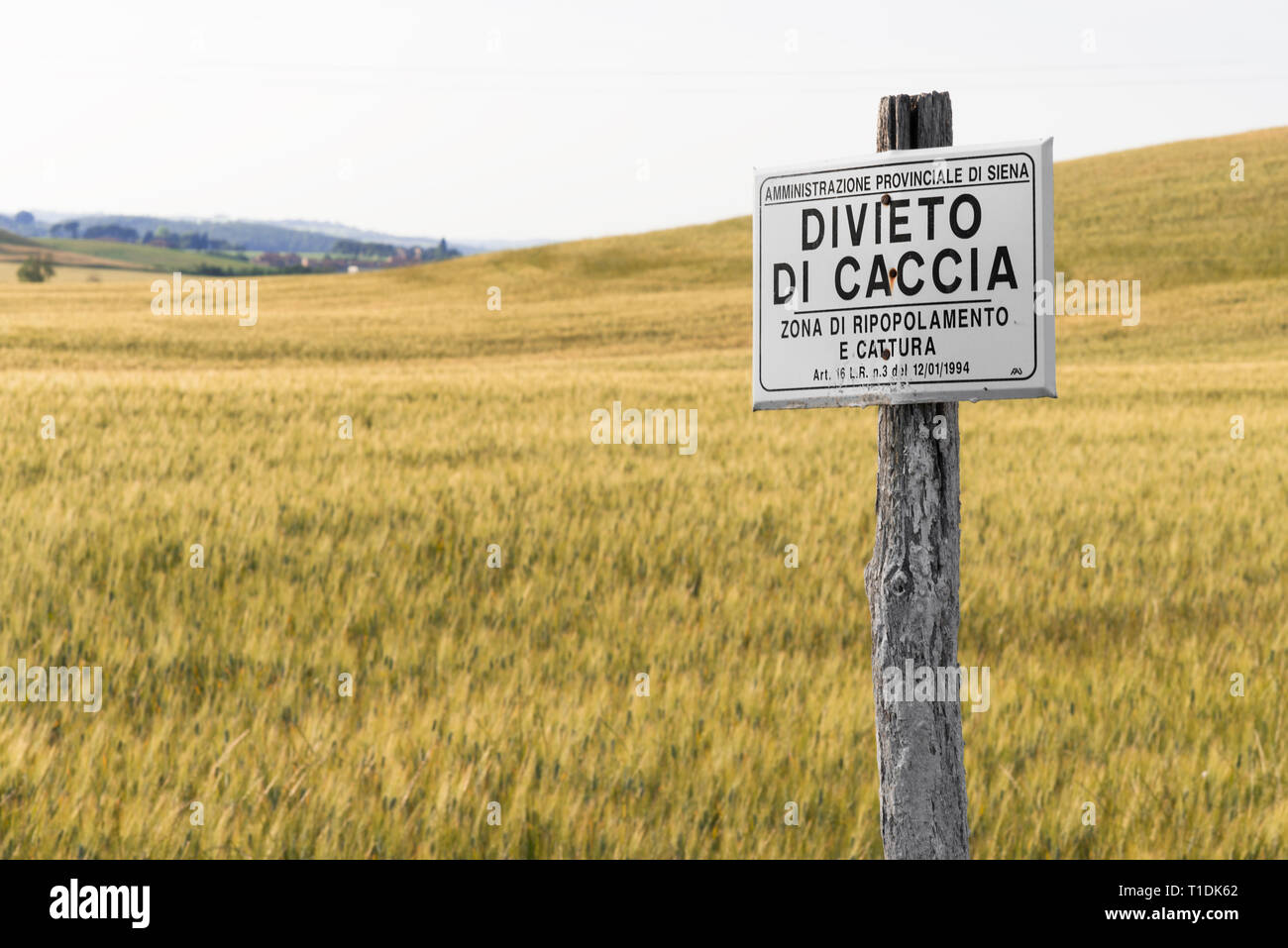 Keine Jagd verboten. Board Verbote Jagd in einem Feld in der Toskana, Italien Stockfoto