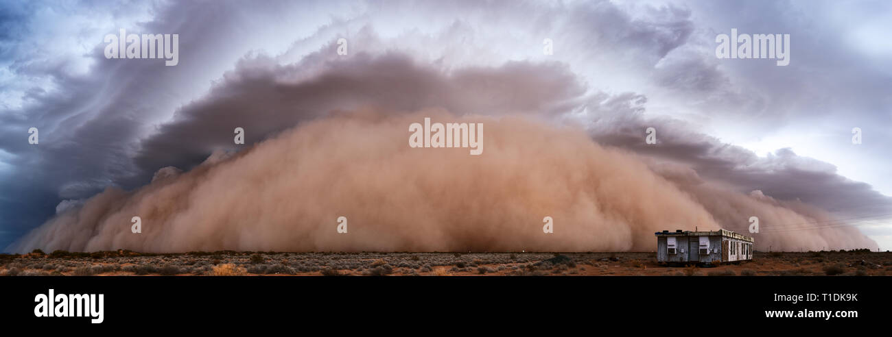 Ein massiver Haboob-Staubsturm in der Wüste bei Wellton, Arizona, USA Stockfoto