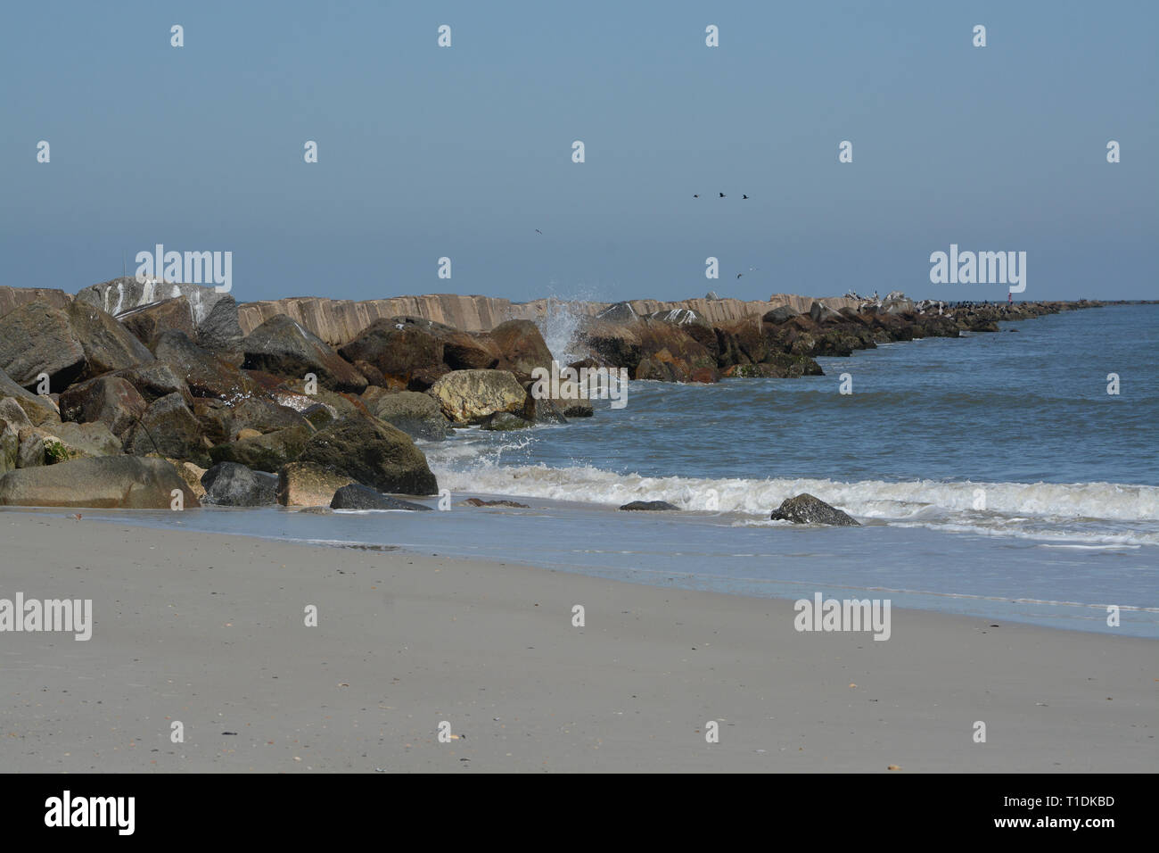 Die Jetty Wellenbrecher auf Fernandina Beach, Fort Clinch State Park, Nassau County, Florida, USA Stockfoto