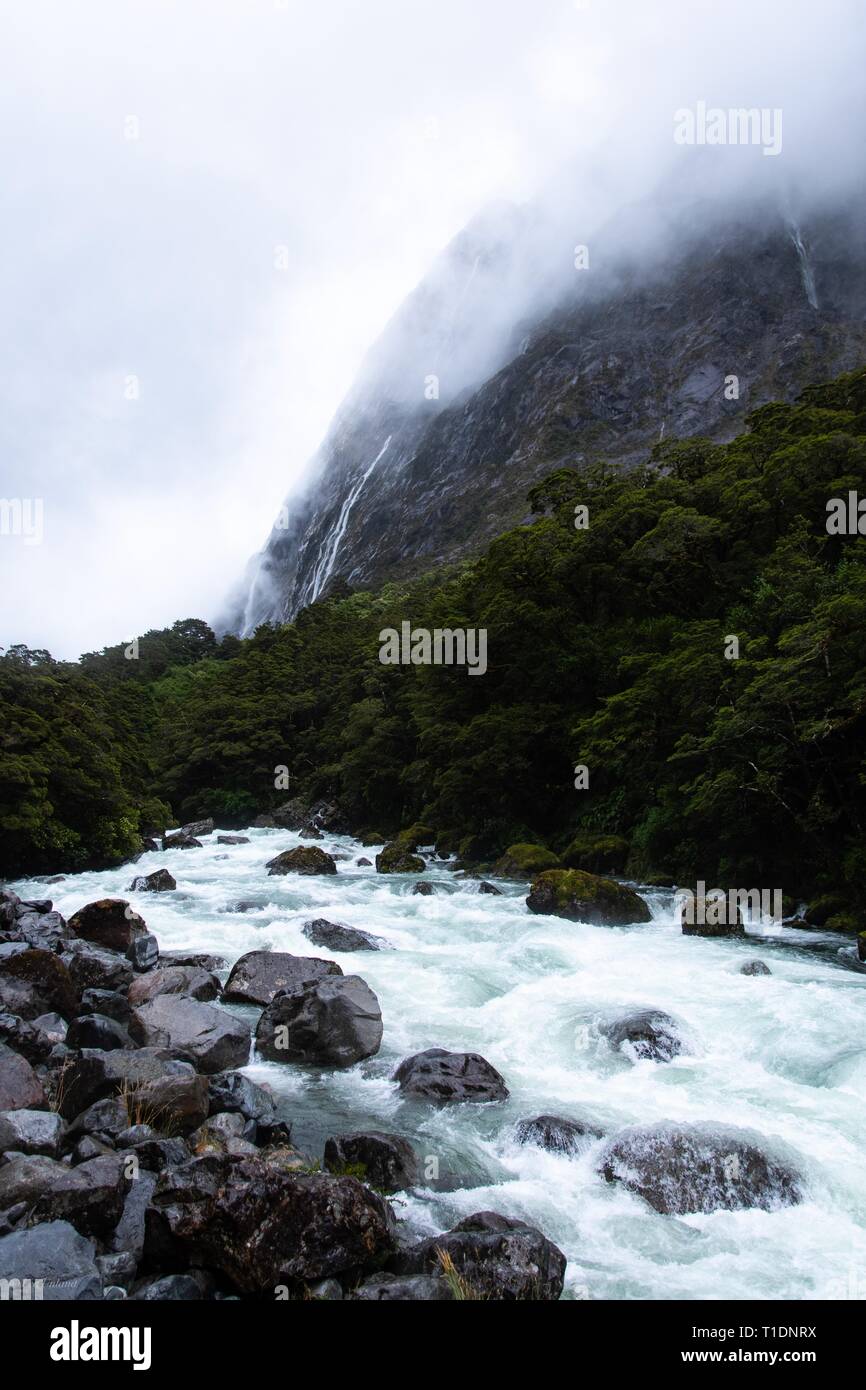 Straße Seitenansicht auf dem Milford Road, NZ Stockfoto