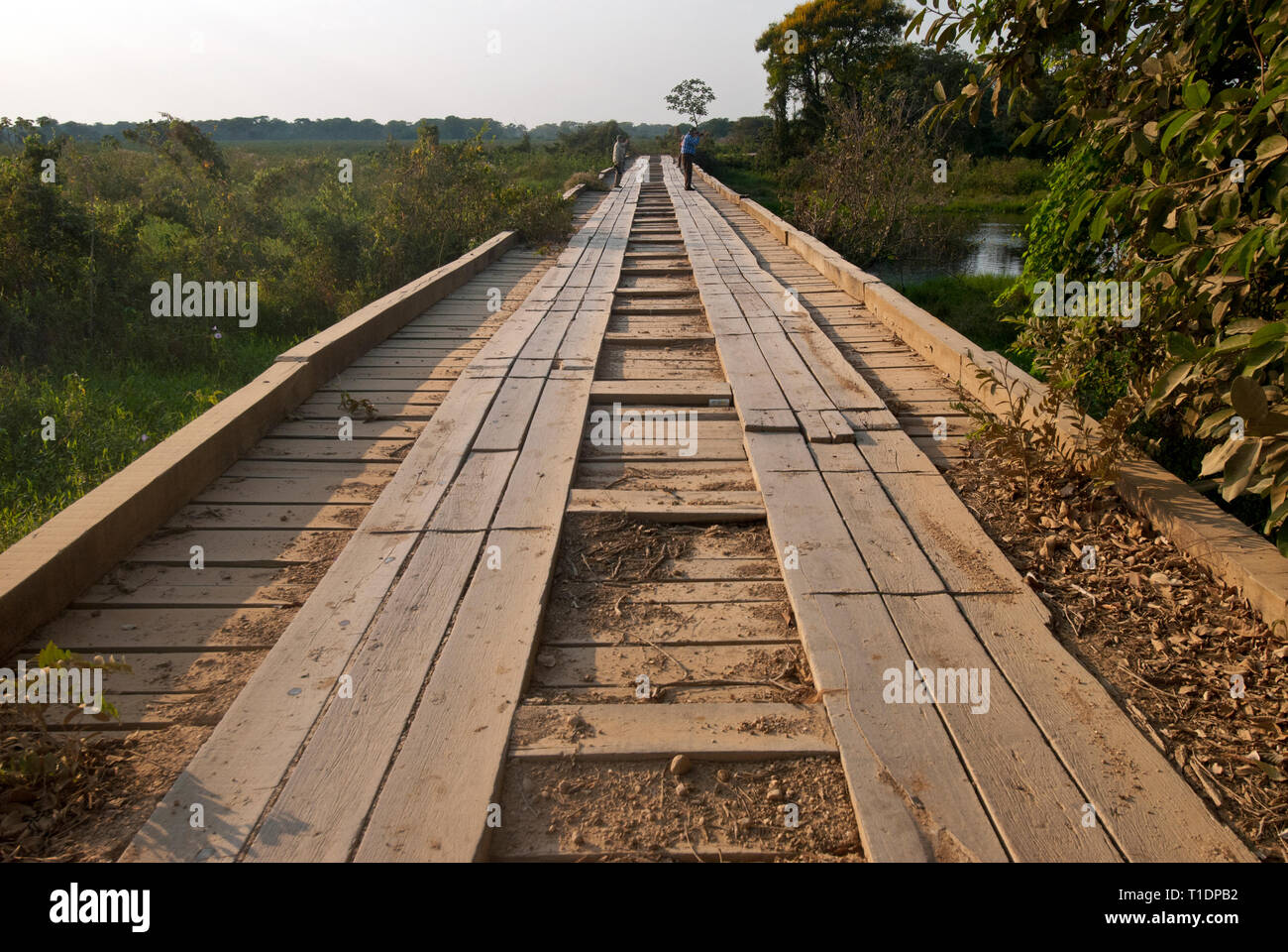 Holz- Brücke auf der Transpantaneira Highway im Pantanal Brasilien Stockfoto