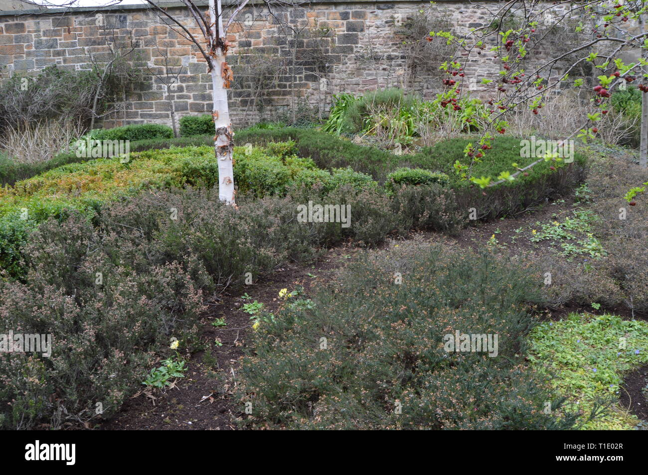 Öffentliche Garten als Garten der Archivar, HM General Register Office, Edinburgh, März 2019 bekannt Stockfoto