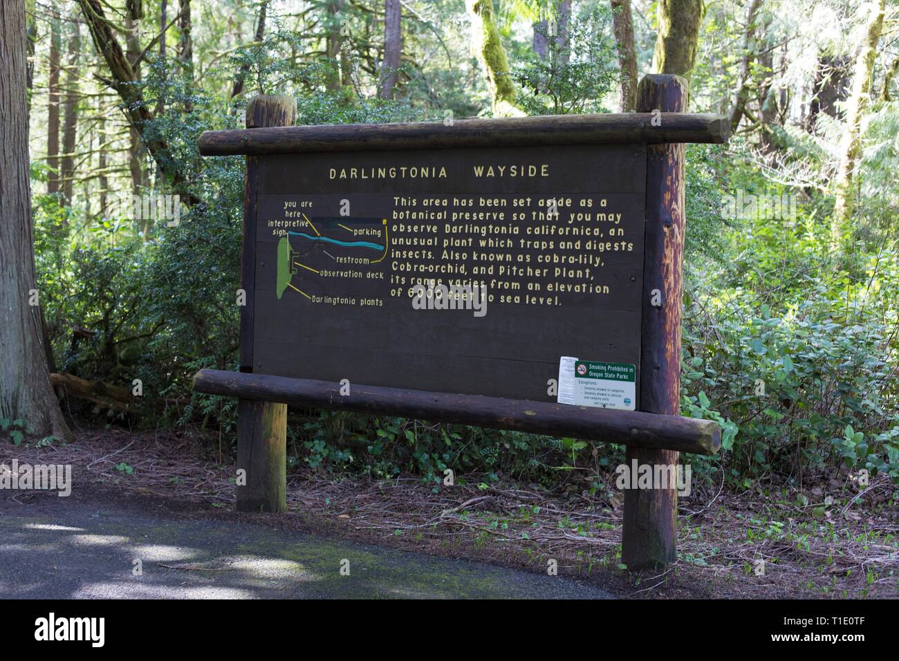 Ein Schild am Eingang Darlingtonia natürlichen Standort in Florenz, Oregon, USA. Stockfoto