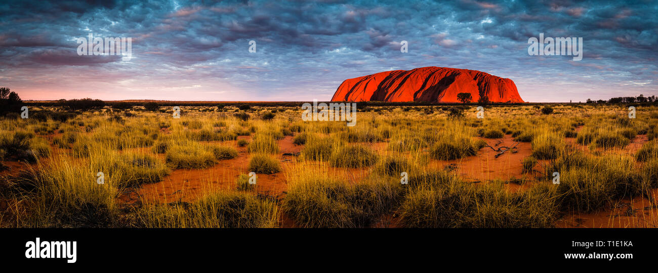 Sonnenuntergang wirft einen tief orange Glühen von ikonischen Uluru/Ayre rock. Stockfoto
