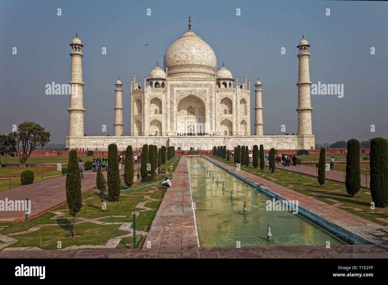 Das Taj Mahal touristische Sehenswürdigkeit mit einem Adler fliegen über es, Agra, Indien Stockfoto