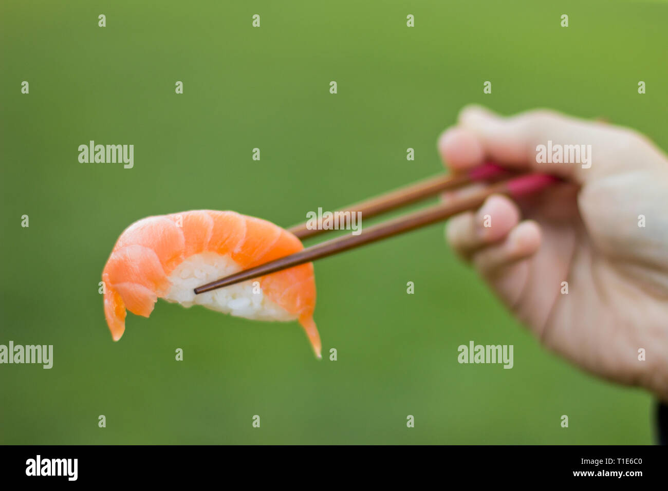 Sushi bereit, auf Stäbchen im Freien zu essen Stockfoto