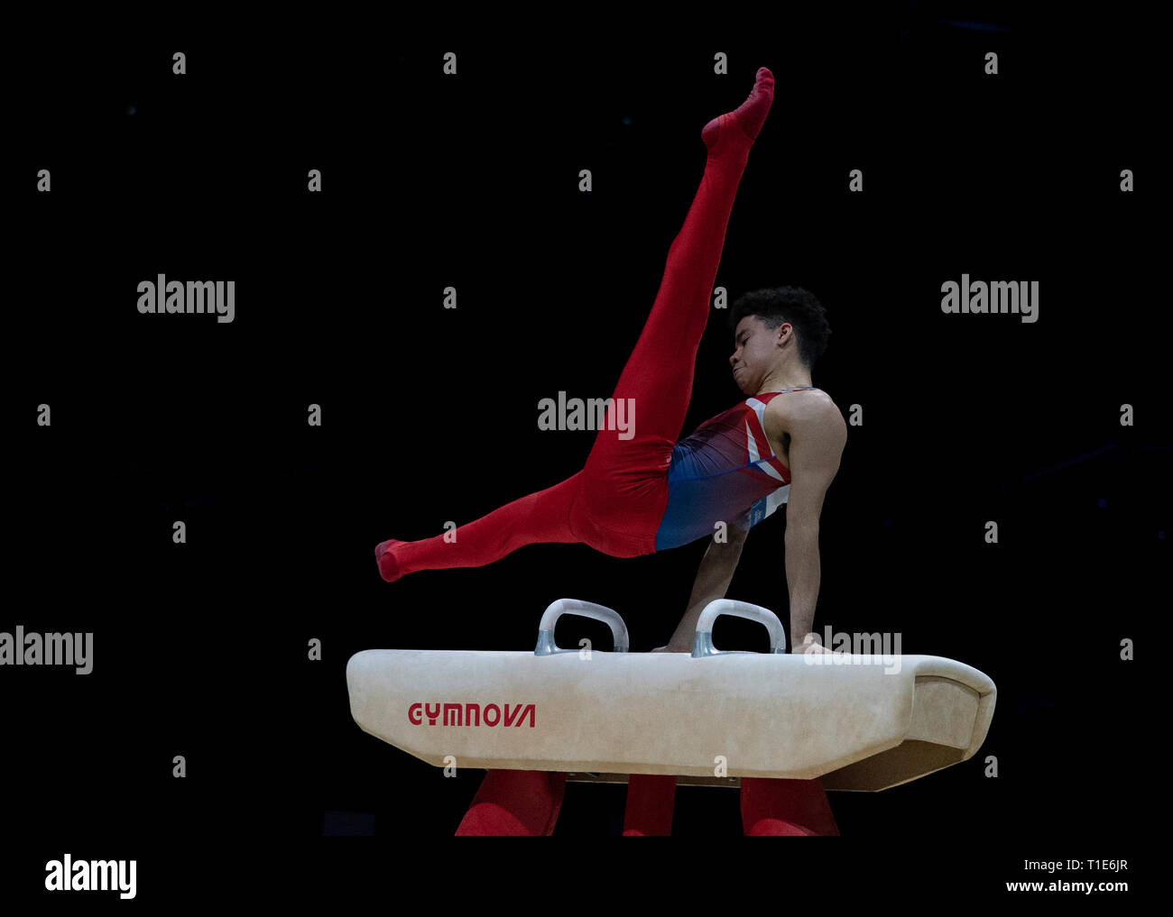 Jamie Lewis (GB) in Aktion während der Gymnastik WM2019 in Genting Arena Birmingham Vereinigtes Königreich am 23. März 2019. GlennSports. Stockfoto