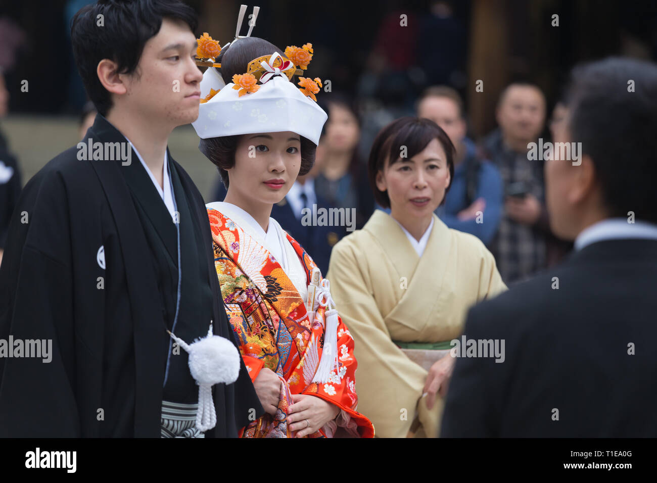 Junge glückliche Bräutigam und Braut während traditionelle japanische Hochzeit Zeremonie am Meiji-jingu Schrein in Tokio, Japan, am 23. November 2013. Stockfoto