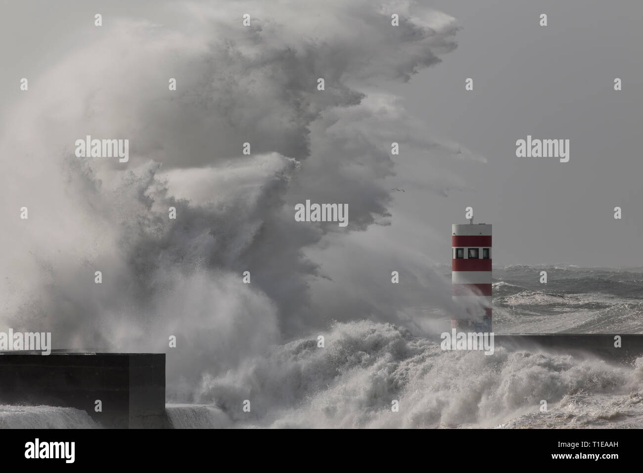 Riesige stürmischen Wave splash. Douro River Mouth Pier und Rundumleuchte. Stockfoto