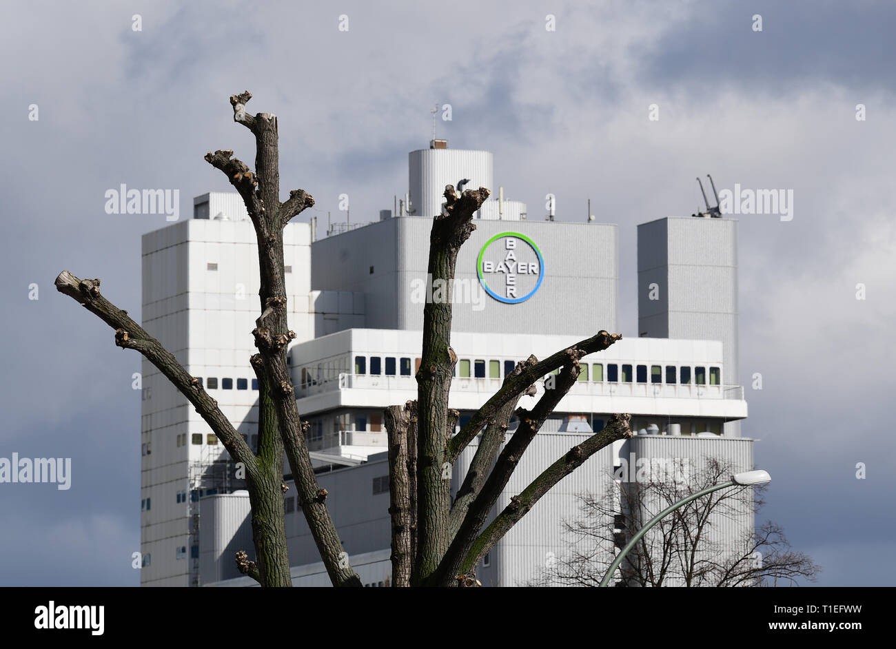 Bayer Schering Pharma Berlin Stockfotos Und Bilder Kaufen Alamy