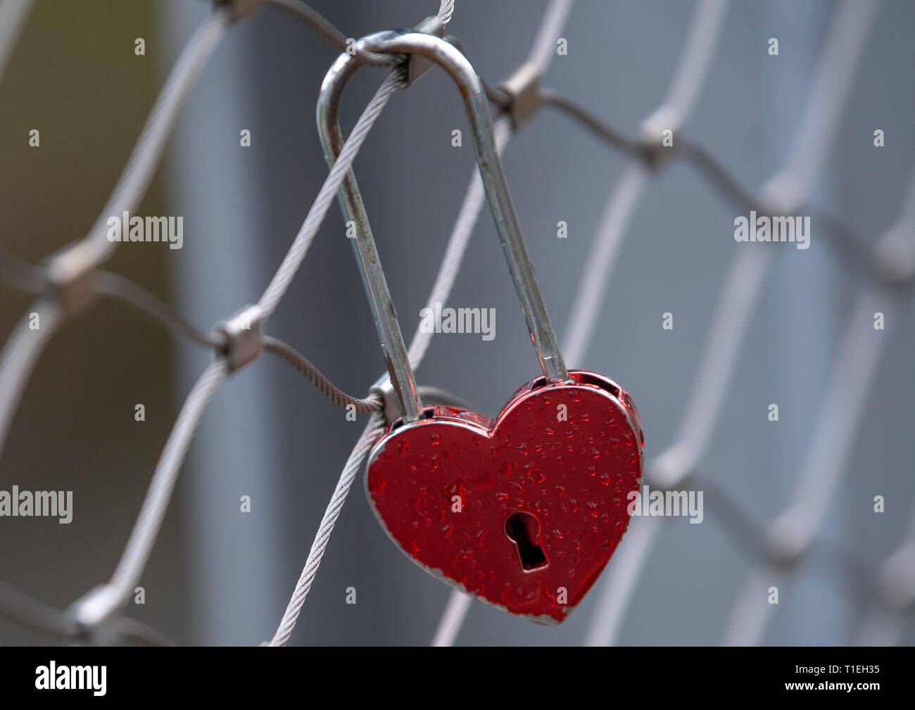 Brandenburg an der Havel, Deutschland. 25 Mär, 2019. Eine so genannte "Liebe Burg' in der Form eines Herzens hängt sich auf das Geländer einer Brücke im Zentrum der Stadt. Credit: Monika Skolimowska/dpa-Zentralbild/dpa/Alamy leben Nachrichten Stockfoto