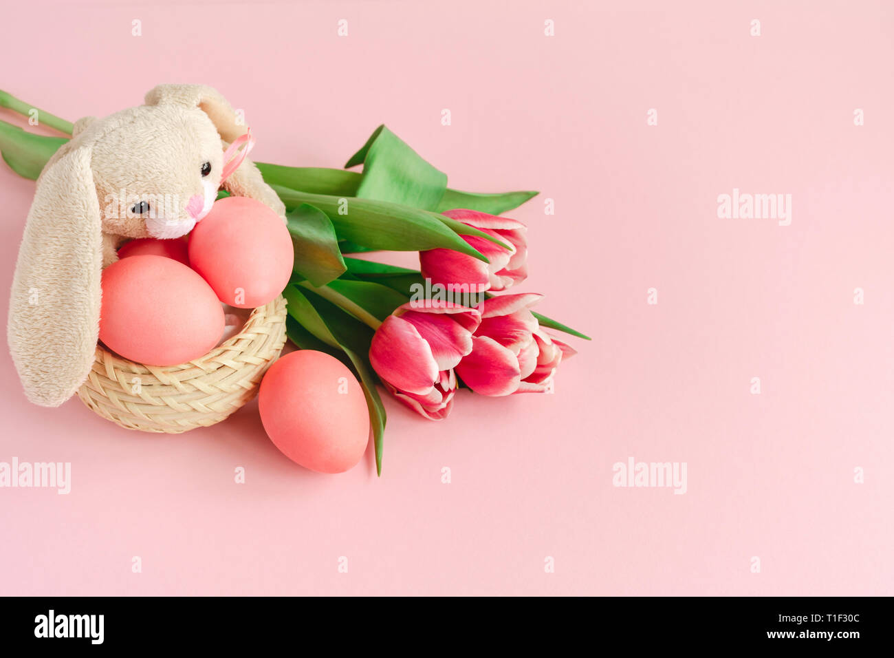 Flauschige Ostern Hase mit leuchtend rosa colorsd Eier in den Korb auf Pastell rose Hintergrund mit Tulpen eingerichtet. Stockfoto