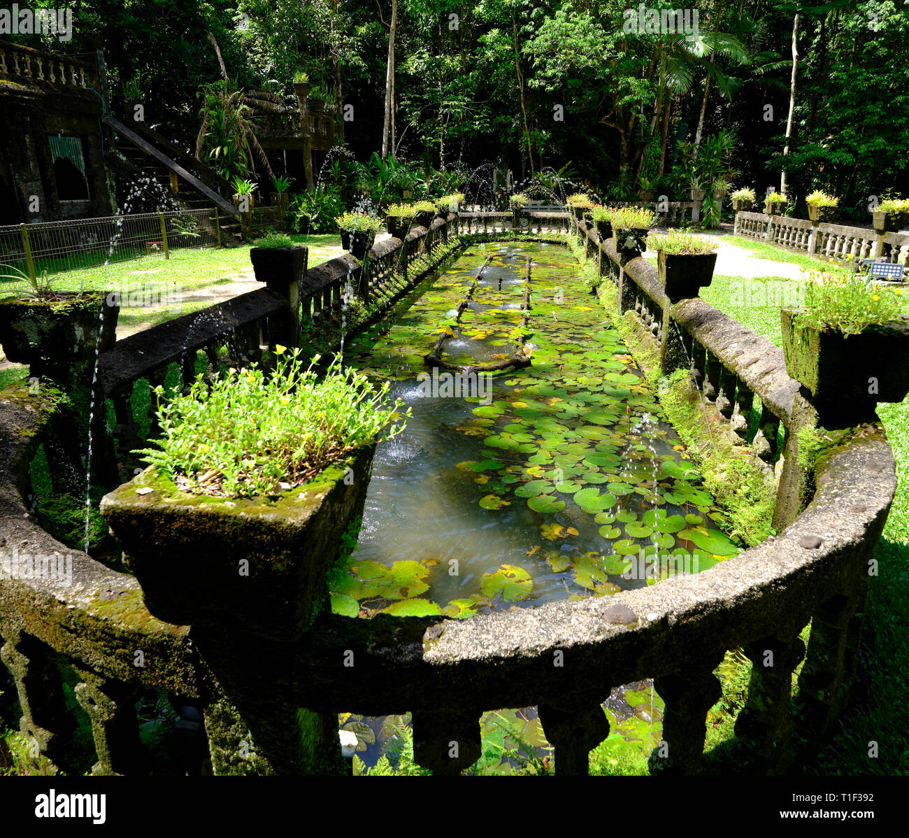 Paronella Park, Innisfail Japoon Mena Creek Road, QLD, Australien Stockfoto