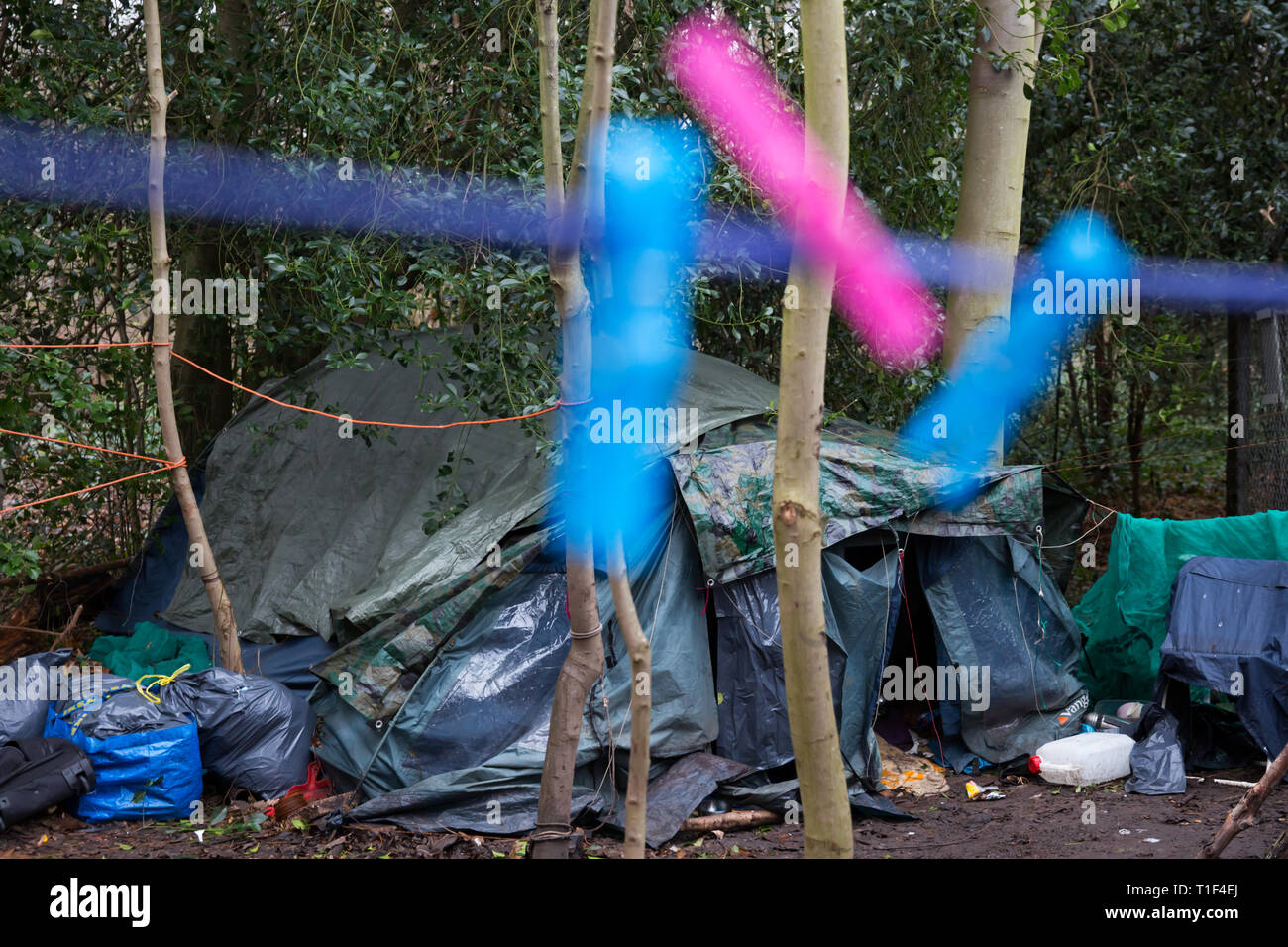 Den Haag - Schutz eines Obdachlosen in einem Park in der Nähe von Scheveningen Stockfoto