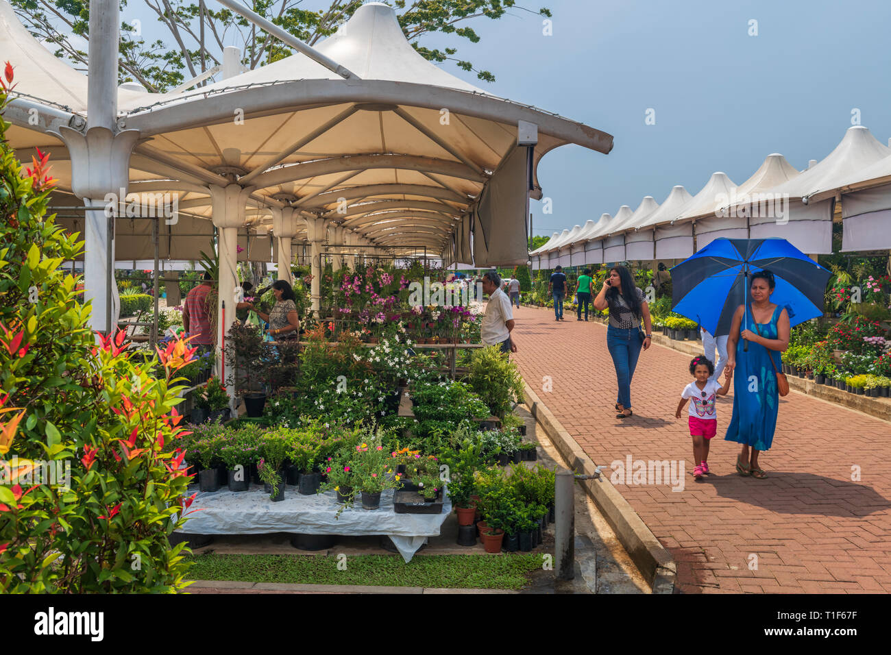 An einem heißen Tag im Februar, Menschen genießen Sie die große Auswahl von Pflanzen zum Verkauf an ein open air Garten Markt in Colombo, Sri Lanka. Stockfoto