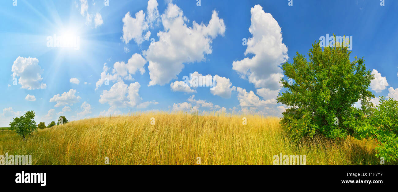 Ländliche Landschaft mit sonnigen Feld Stockfoto