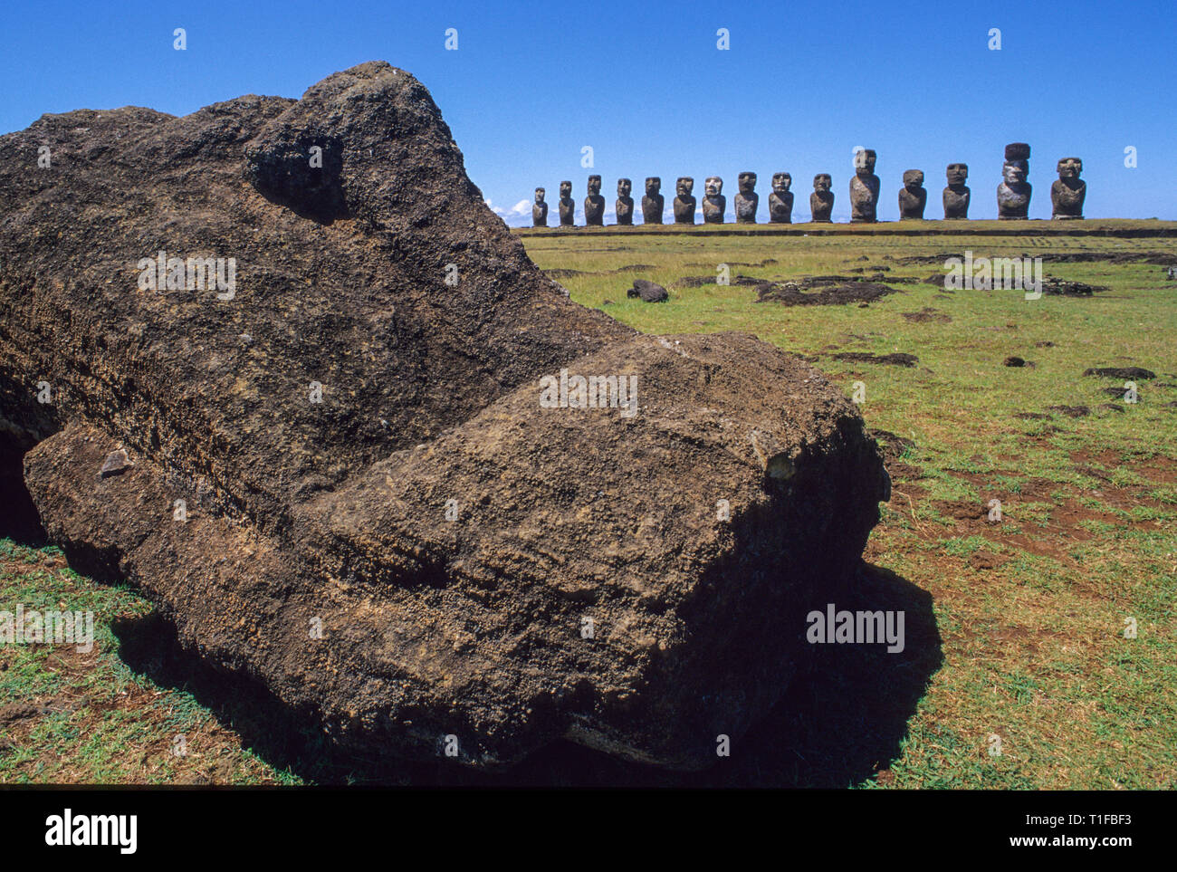 Moais Statuen auf der Osterinsel Chile Stockfoto