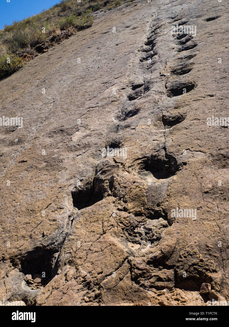 Dinosaur Footprint in Toro Toro, Bolivien. Pflanzenfresser Dinosaurier Stockfoto