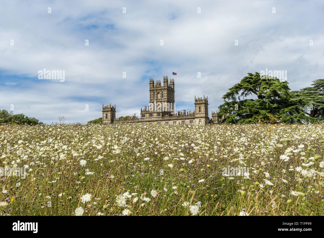 Highclere Castle mit wilden Blumen Wiese, Drehort für Downton Abbey, Newbury, Hampshire, Großbritannien Stockfoto