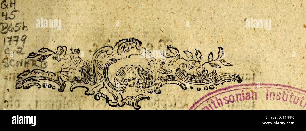 D Joh Friedr Blumenbachs der D. Joh. Friedr. Blumenbachs der Med. Prof. ord. zu Göttingen Handbuch der Naturgeschichte: mit Kupfern djohfriedrblumen 11779 blum Jahr: 1779 STEINEGEft coi; LecTiaN et3n) eeutli $ genug.,, um feinet weitem â ¬ rlauterung&a ktmrfettÂ" â ¬ 3 n&gt; ar nemlicf) um ein # anÃ¶& uclj Ju n&gt; A"-t&gt; ctt erjfenUmrif? T&gt; er aUdtmemeit unt&gt; t) cfoitS&gt; erit 9 taurgefd&gt; icl) te pgletd) follteÂ umfaften" 3 ene fjat alferbingg ifjrl eigne. SÃor & Ã¼ge, unb eMjl auelj roorben gefaxt, fte feÂ" für Anfanget allein Ju* reidjenV 2 tÃ¶er e 3 fdjeint t&gt; em grofiett Raufen sich Dilett Stockfoto